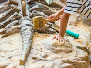 Paläontologische Ausgrabungen